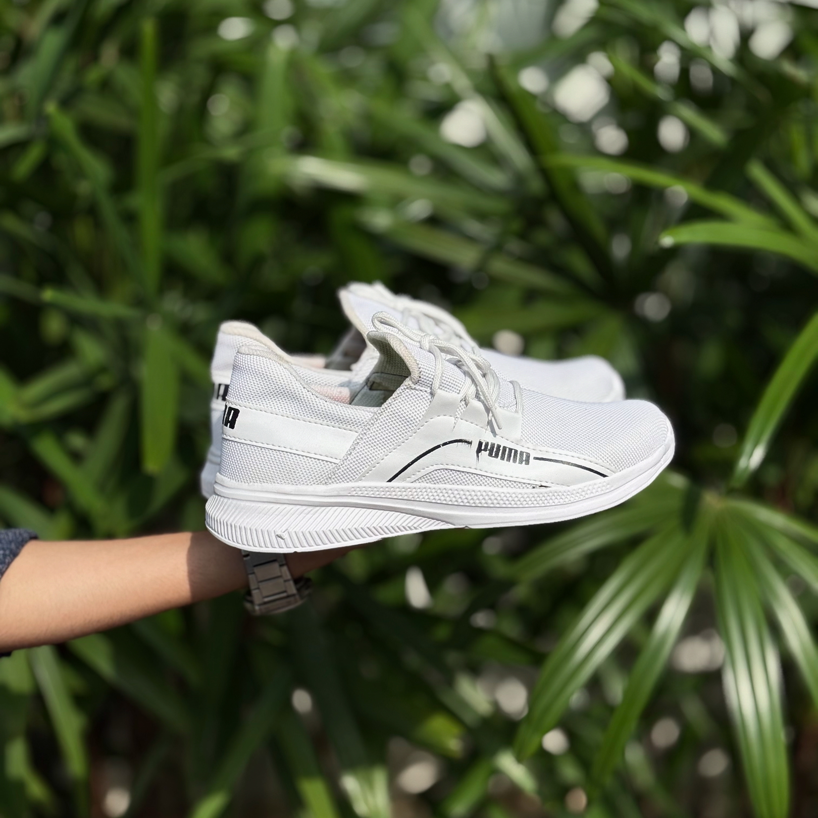 Puma
